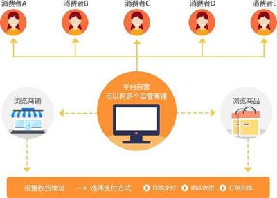B2B2C商城系統與多用戶商城系統的深度解析